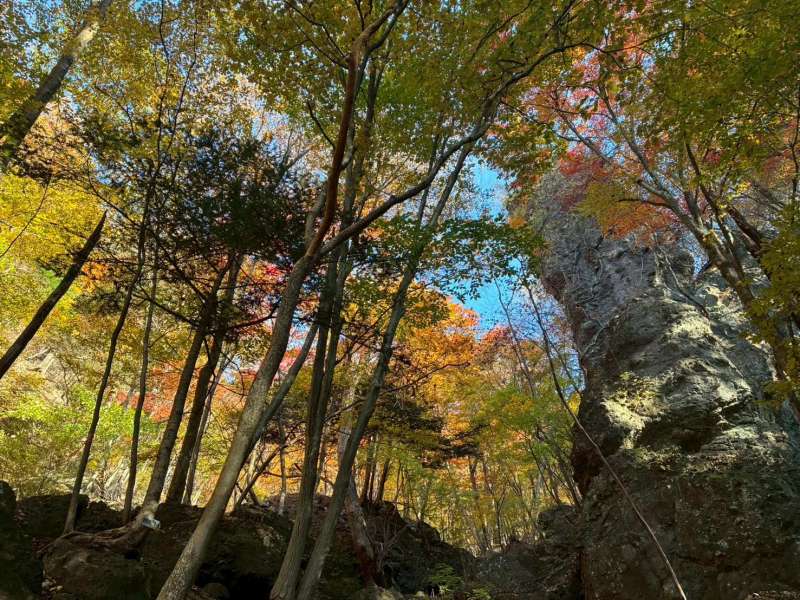 登山路に戻るとこの景色!いいなあ~