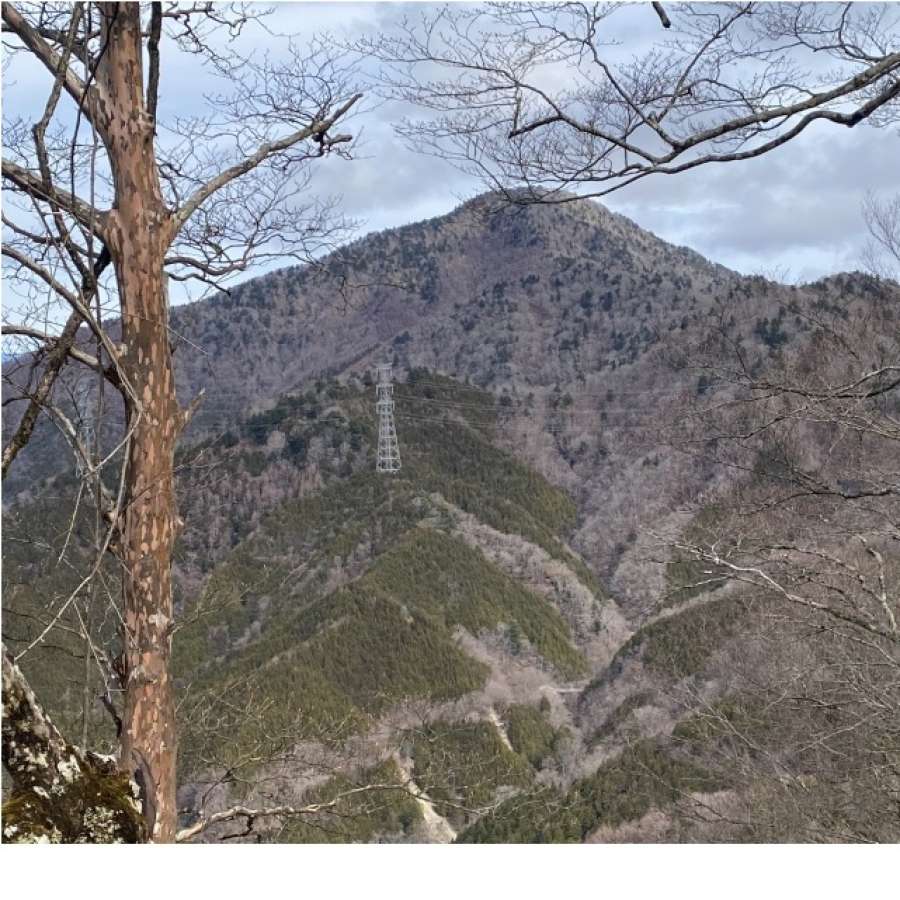 日向峰を過ぎたあたりから雄姿御正体山を望む