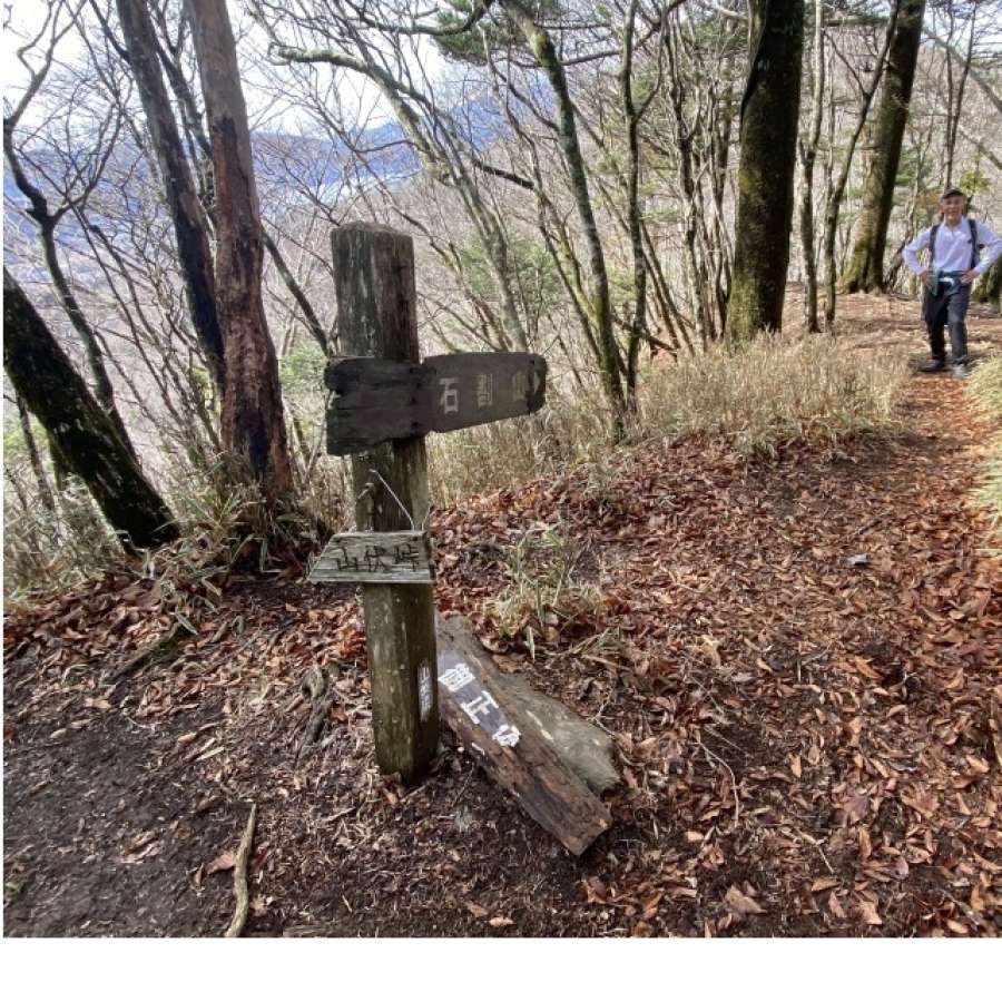 御正体山への分岐点