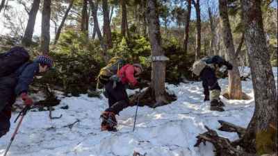 樹林帯の急登を進む