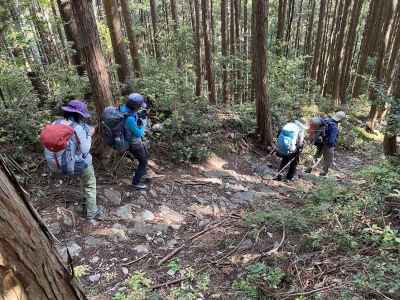 三田谷への激下り 