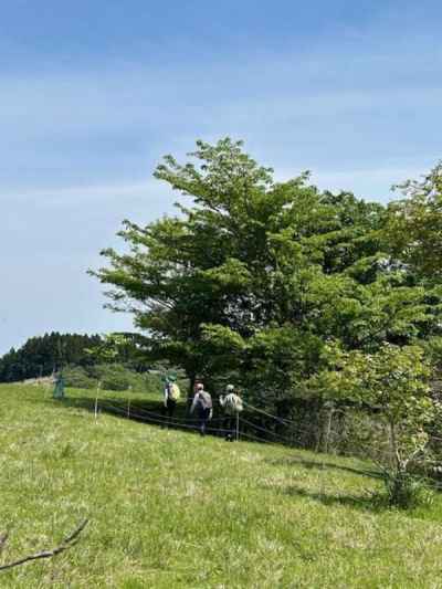 牧場の横を通って下山