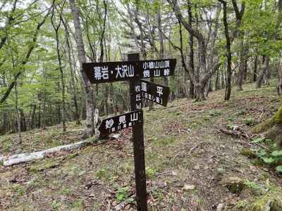 小楢峠の分岐 