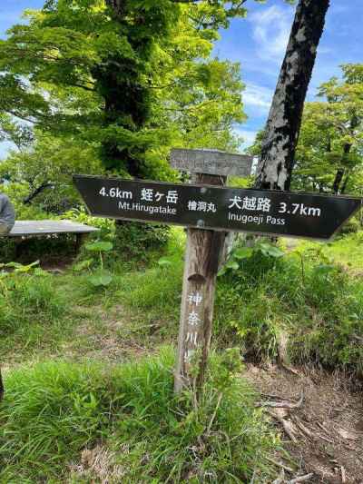 檜洞丸頂上 