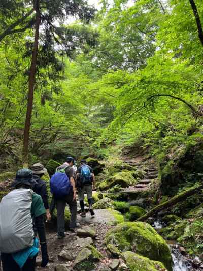 苔むした岩の間を清流が織りなす情景が続く 