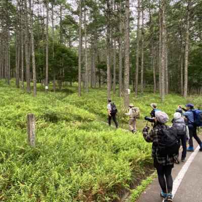 踏み跡に入る