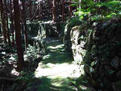 逢神坂峠の猪垣