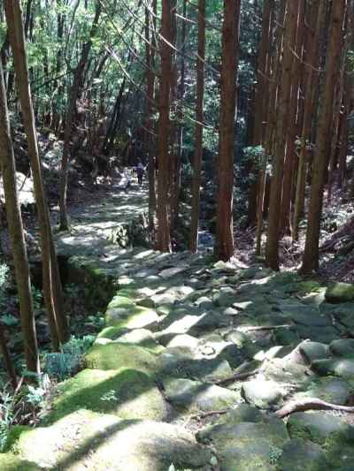 石畳の苔が光る松本峠
