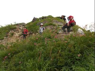 お花畑が広がる&nbsp;