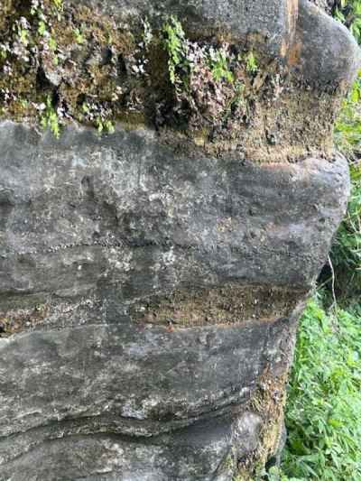 大昔は海の中にあった？&nbsp;