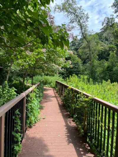 小網代の森遊歩道&nbsp;