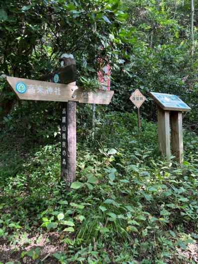 社殿の奥の登山口