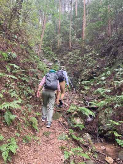 関八州見晴台へ向かって登山開始 