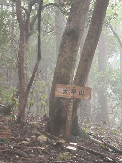 大平山山頂 