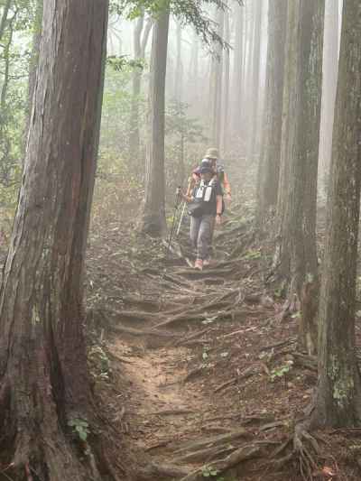 花立松ノ峠からは関八州見晴台には向かわずに下山 