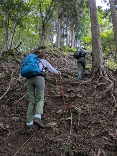 仲尾根は取りつきから急登 