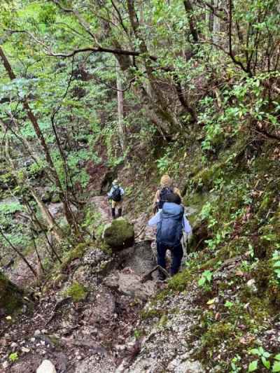 善六のタワへの登山道 