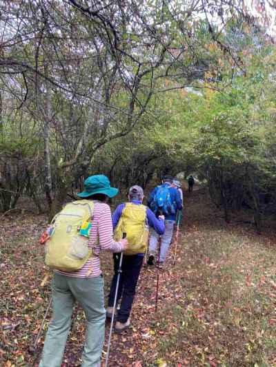 気持ちのいい落ち葉の縦走路