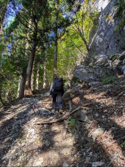 アプローチは明瞭 