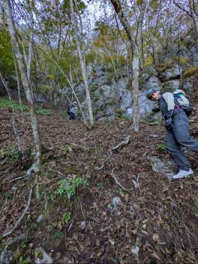 ほどなく降りてくる 