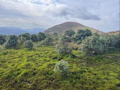 視界が開けて竜ヶ岳山頂が見える 