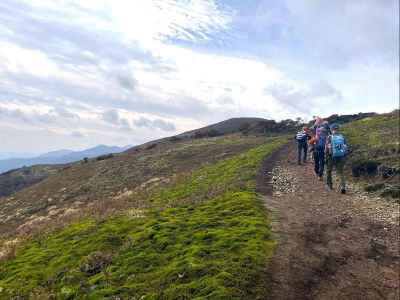 たおやかな稜線 