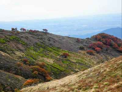登ってきた金山尾根と”赤い羊” 
