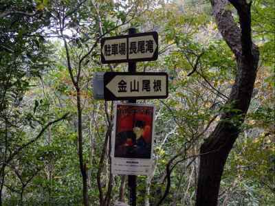 金山登山道入口に戻った 