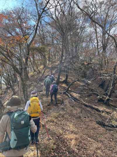 伊勢沢ノ頭へのブナの尾根 