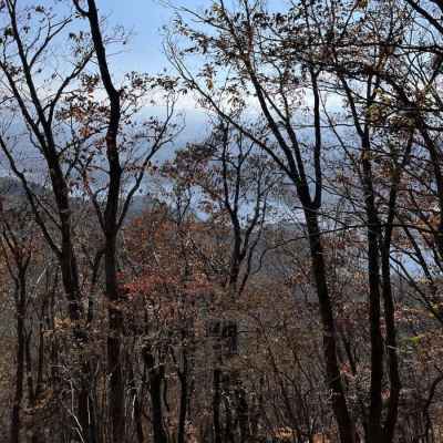 秋の澄んだ空気