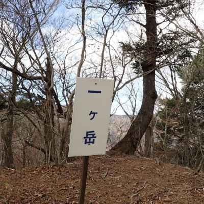 河口湖が樹間に