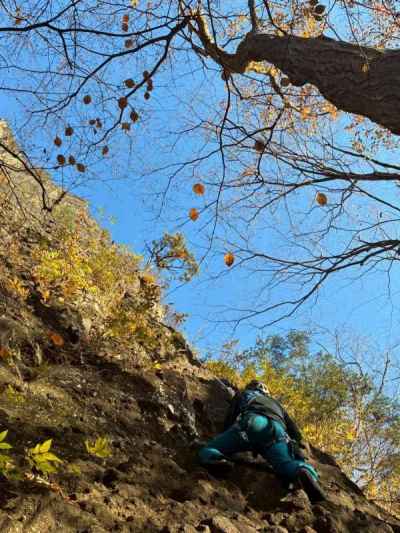 あれ！今日はハイキングでしょ？ 