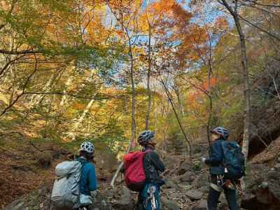 紅葉にしみじみと浸り… 