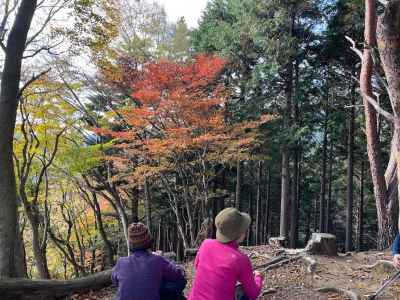 紅葉を眺めながら休憩 