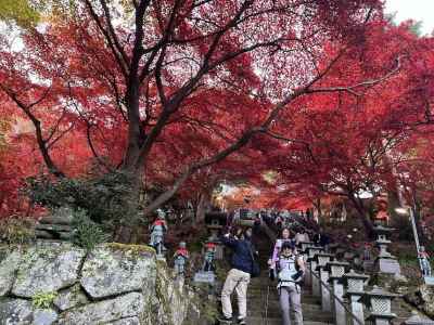 紅葉のトンネル 