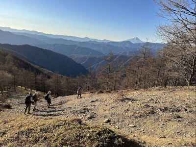 富士山が見えた