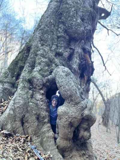 ちょっと中に入ってみた