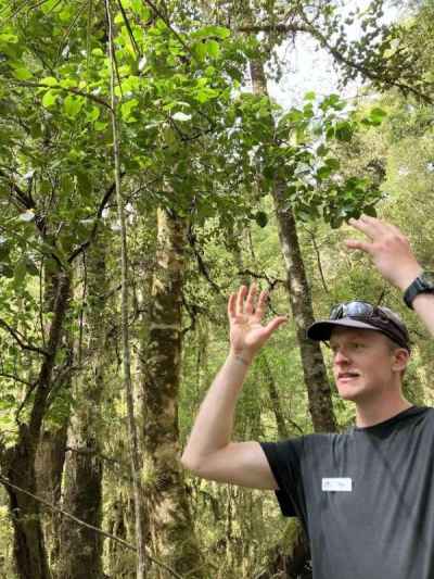 森のガイドツアー&nbsp;