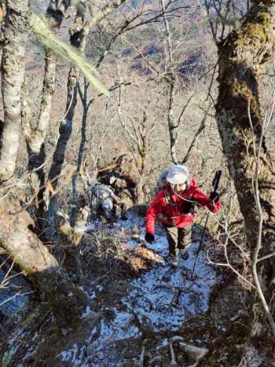 金ヶ岳南峰への急登は続く