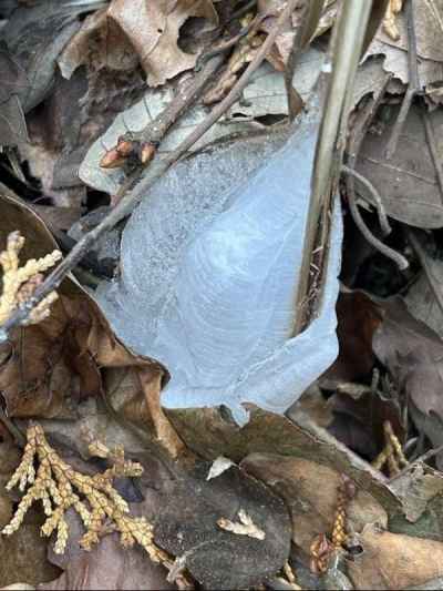 よく見るといろいろな形が・・