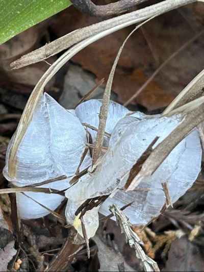 条件が揃ってよかった！