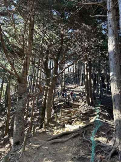 下山も厳しい道が続く&nbsp;