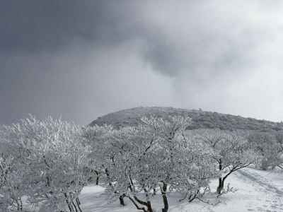 振り返る鬼面山と霧氷