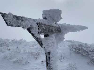 鬼面山1481mの表示&nbsp;